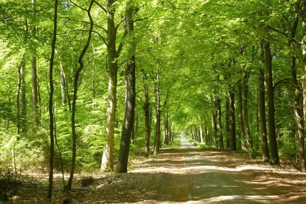 Sfeervolle Villa In Gasselte Drenthe Bij Hemelriek Экстерьер фото